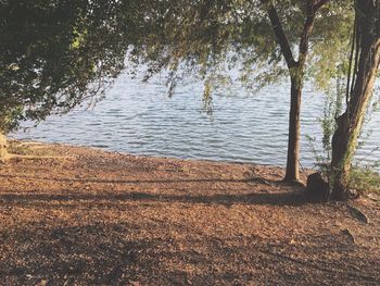 Scenic view of lake