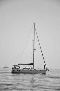 Sailboat sailing in sea