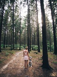 Rear view full length of woman standing with dog at forest