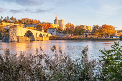 Avignon city and his famous bridge, medieval papal city on the rhone river. photography in france