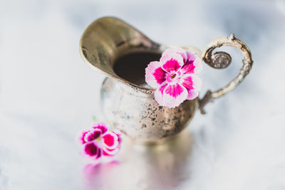 High angle view of pink flower on table