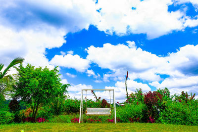 Trees in park against sky