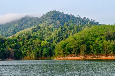 Scenic view of lake by trees against sky