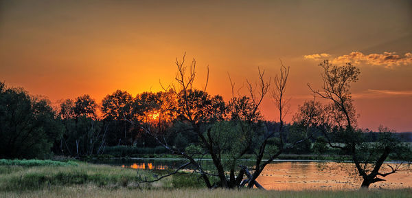 Scenic view of field against sky at sunset