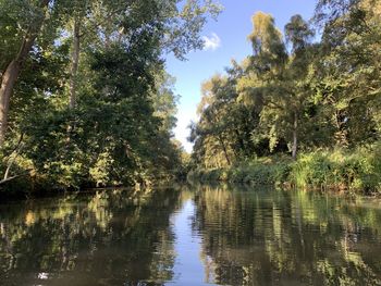 Scenic view of lake in forest