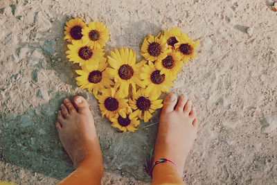 Low section of woman standing by heart shape sunflowers at beach