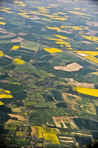 Aerial view of agricultural field