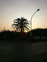 Silhouette of palm trees in city against sky