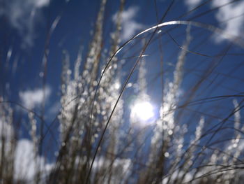 Low angle view of sky