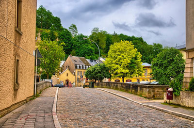 Street amidst trees and buildings against sky