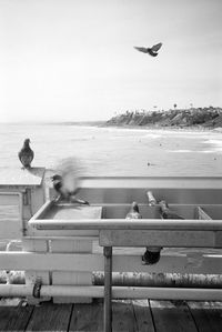 Seagull flying over sea against sky