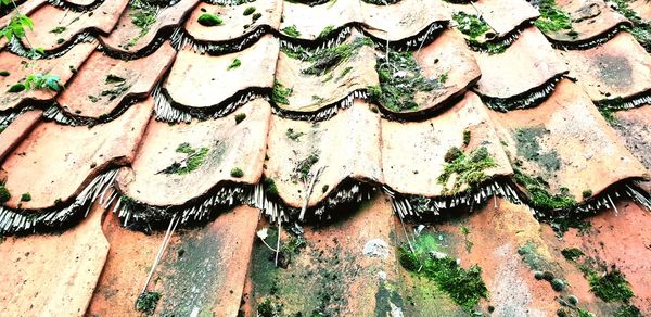 Full frame shot of roof tiles