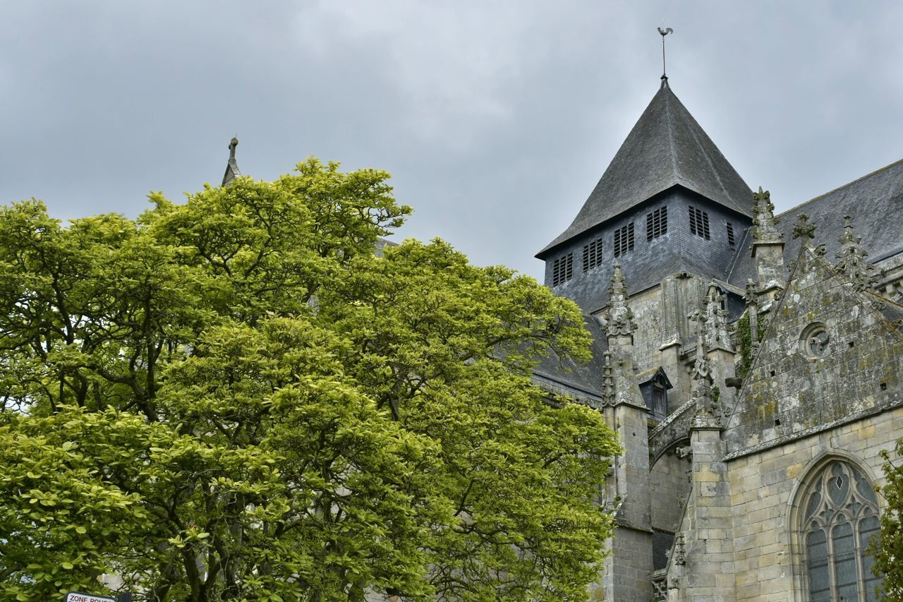 architecture, building exterior, built structure, low angle view, religion, church, place of worship, sky, spirituality, tree, cross, cloud - sky, history, cathedral, day, old, outdoors, cloud