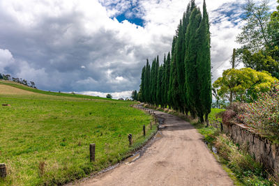 Road amidst trees against sky