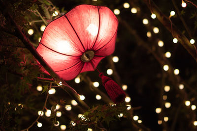 Close-up of illuminated christmas lights