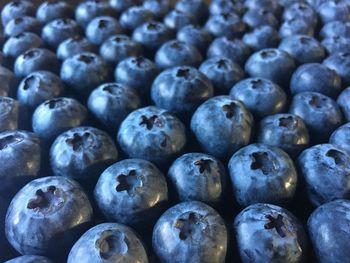Full frame shot of blueberries