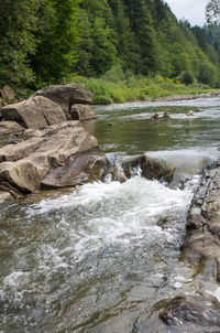 Scenic view of waterfall in forest