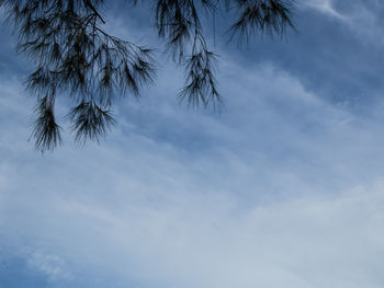 Low angle view of palm tree against sky