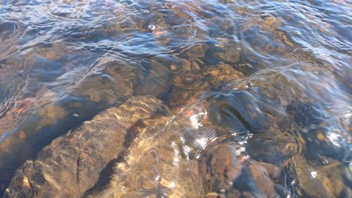 Full frame shot of water