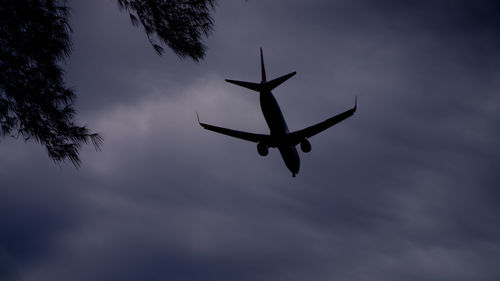 Low angle view of airplane flying in sky