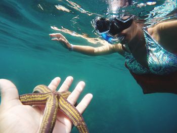 Cropped hand of person holding starfish while woman snorkeling undersea