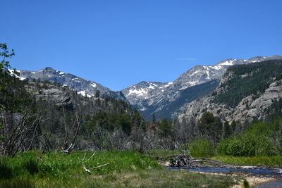 Scenic view of snowcapped mountains against clear blue sky