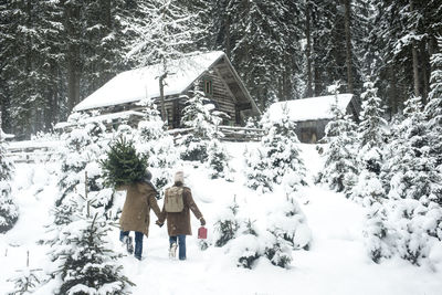 Man carrying tree while walking with woman on snow