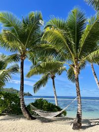 Palm trees on beach against sky
