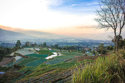 Aerial view of townscape against sky during sunset