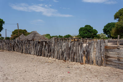 Panoramic shot of trees on land against sky