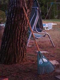 Close-up of swing hanging on tree trunk