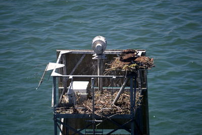 High angle view of bird perching on wood in sea