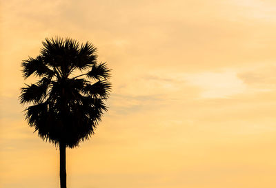 Low angle view of silhouette coconut palm tree against sky during sunset