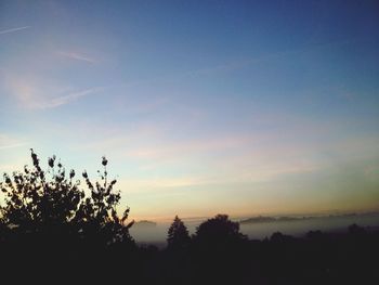 Silhouette of trees at sunset