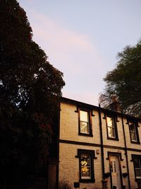 Low angle view of tree by building against sky