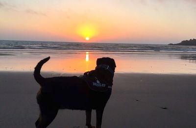 Scenic view of sea at sunset