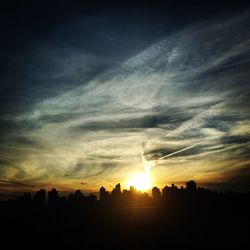 Silhouette of trees at sunset
