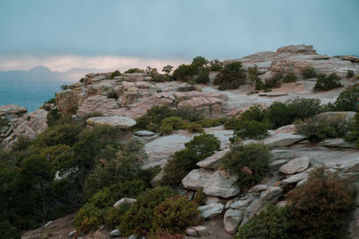 Rocks and trees on mt. lemmon near tucson, arizona. santa catalina mountain range.