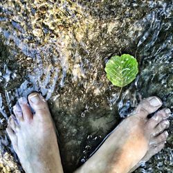 Low section of person standing in water