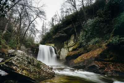 Scenic view of waterfall in forest