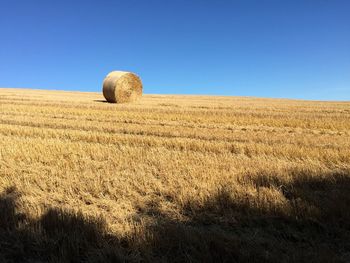 Bale of hay in field in front of vlear blue sky