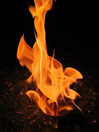 Close-up of fire against black background