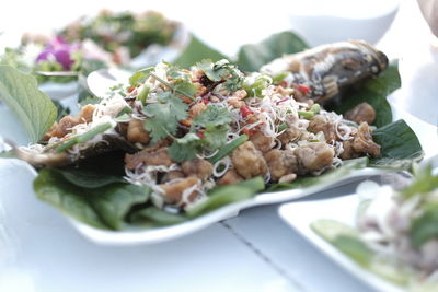 Close-up of food in plate