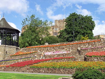 Trees and plants in park against building