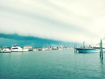 Sailboats in marina