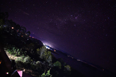 Low angle view of illuminated trees against sky at night