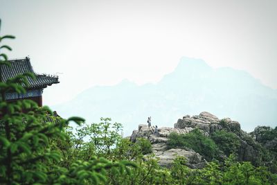 View of trees on mountain against sky