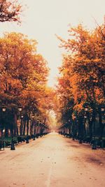 Road amidst trees against clear sky during autumn