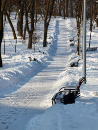Winter park, wooden benches in snowdrifts along a cleared path in the snow in a park on a sunny day.