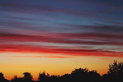 Silhouette of trees at sunset